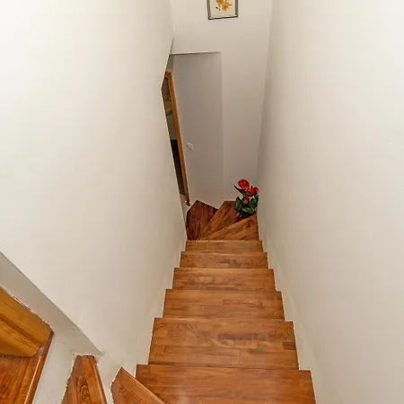 Canolle Istria Villa